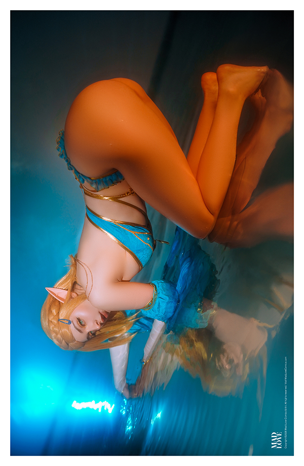 DH023e Zelda Cosplay - Image 5